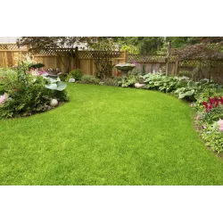 Biopon 4 kg Nawóz do trawnika zrównoważony skład zielona zdrowa darń