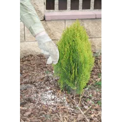 Ziemovit 1 kg Nawóz do iglaków brązowienie igieł zapobiega uzupełnia niedobory składników soczysta zieleń