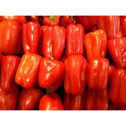 Ziemovit 200 g Nawóz do pomidorów papryki bardzo wydajny skuteczny zwiększa plonowanie
