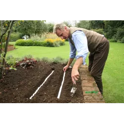 Toraf 6m Marchew FLAKKESE 2 Nasiona Taśma marchewka bardzo plenna