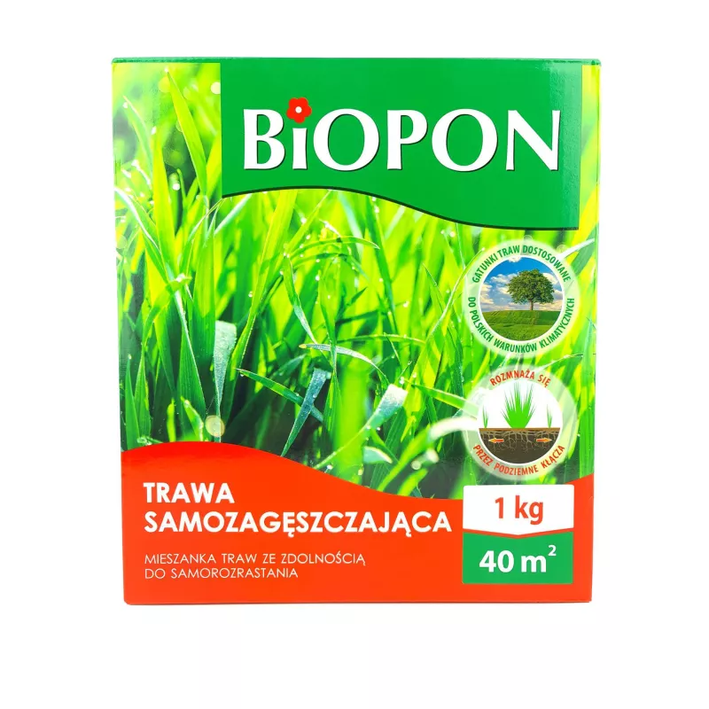 Biopon 1 kg Trawa samozagęszczająca samorozrastająca gęsty zwarty trawnik
