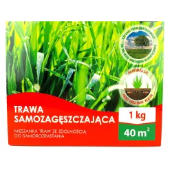 Biopon 1 kg Trawa samozagęszczająca samorozrastająca gęsty zwarty trawnik
