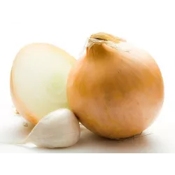 Troaf 4g Cebula Wolska późna Nasiona obfite plony dobre przechowywanie