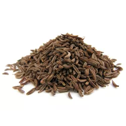 Toraf 1g Kminek Zwyczajny Nasiona ziół roślina dwuletnia lecznicza przyprawy