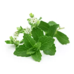 Toraf 0,01g Stewia Miodowy Liść Nasiona ziół 20 razy słodsza od cukru zamiennik cukru