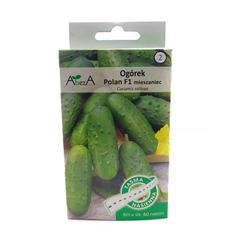 AbezA Ogórek Polan F1 Nasiona na taśmie 6m karton na kiszone korniszony plenny