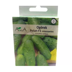 AbezA Ogórek Polan F1 Nasiona na taśmie 6m karton na kiszone korniszony plenny