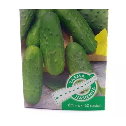 AbezA Ogórek Polan F1 Nasiona na taśmie 6m karton na kiszone korniszony plenny