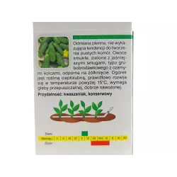 AbezA Ogórek Polan F1 Nasiona na taśmie 6m karton na kiszone korniszony plenny