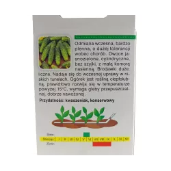 AbezA Ogórek Śremski F1 Nasiona na taśmie 6m karton kształtny bardzo wczesna odmiana