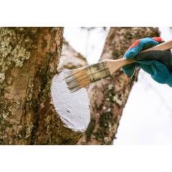 Ziemovit 350g Maść ogrodnicza pasta grzybobójcza do zabezpieczania drzewek likwiduje zarodniki grzybów