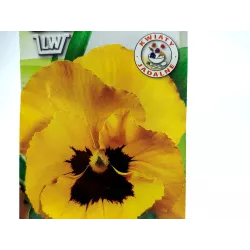 Toraf 0,2g Bratek żółty z czarnym oczkiem Nasiona kwiaty dwuletnie nasadzenia rabatki balkony