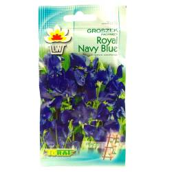 Toraf 2g Groszek Pachnący Royal Navy Blue Nasiona kwiatów kwiat cięty bukiety ogródek