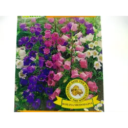 Toraf 1g Dzwonek ogrodowy mix Nasiona kwiatów dwuletnich kolory rabaty kwiat cięty