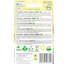 Toraf 10szt. Kapusta Ozdobna Łodygowa Sunrise Mix Nasiona roślin ozdobnych mieszanka kolorów