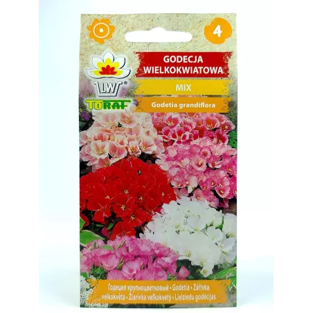 Toraf 1g Godecja wielkokwiatowa Nasiona kwiatów jednorocznych letnia azalia