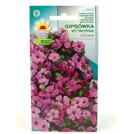 Toraf 1g Gipsówka wytworna różowa Nasiona kwiatów roślina jednoroczna rabatki bukiety kwiatowe