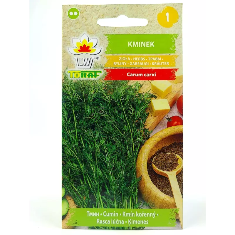 Toraf 1g Kminek Zwyczajny Nasiona ziół roślina dwuletnia lecznicza przyprawy