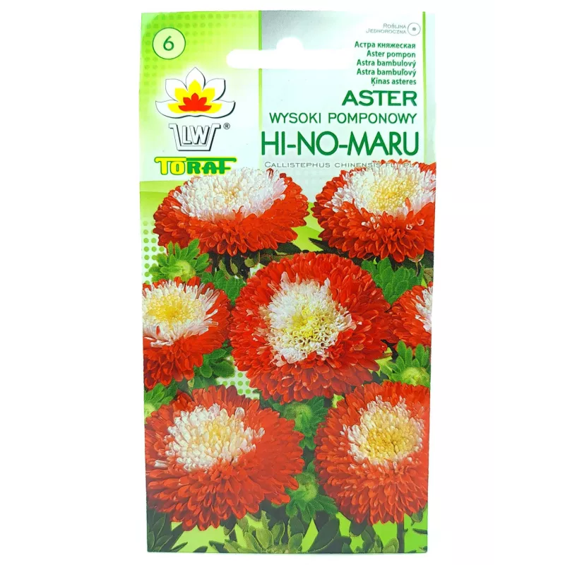 Toraf 0,5g Aster Pomponowy Hi-No-Maru Nasiona wysoki trójbarwne kwiaty