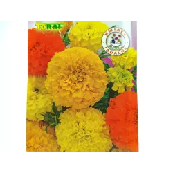 Toraf 1g Aksamitka Wysoka mix Nasiona mieszanka duże kwiaty żółta pomarańczowa