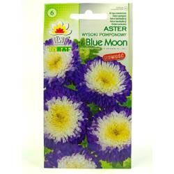 Toraf 0,5g Aster Pomponowy Blue Moon Nasiona niebiesko-biały kwiat