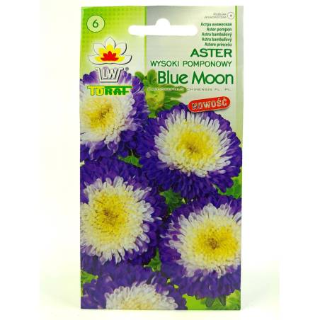 Toraf 0,5g Aster Pomponowy Blue Moon Nasiona niebiesko-biały kwiat