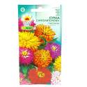 Toraf 1g Cynia Chryzantemowa Mix Nasiona kwiatów jednorocznych Mieszanka kolorów