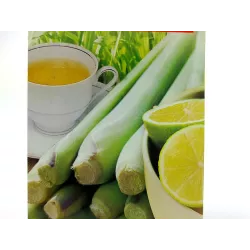 Toraf 0,1g Trawa Cytrynowa Nasiona ziół dodatek do herbaty drinków potraw kuchni azjatyckich