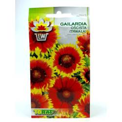 Toraf 1g Gailardia oścista Nasiona Kwiatów żółto-czerwone kwiaty bylina rabatowa