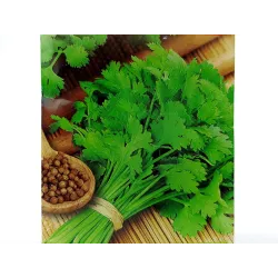 Toraf 2g Kolendra Siewna Nasiona ziół wspomaga układ pokarmowy przyprawa