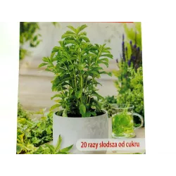 Toraf 0,01g Stewia Miodowy Liść Nasiona ziół 20 razy słodsza od cukru zamiennik cukru