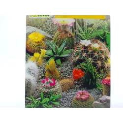 Toraf 0,2g Kaktusy Nasiona MIX Extotic Hobby Mieszanka kaktus