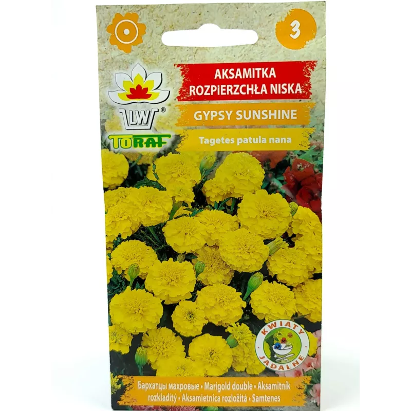 Toraf 1g Aksamitka Gypsy Sunshine Nasiona rozpierzchła niska żółta pełne kwiaty