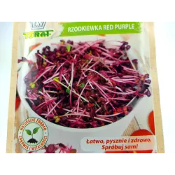 Toraf 10g Rzodkiewka Red Purple Nasiona Kiełki kiełkownica NOWOŚĆ