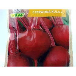 Toraf 20g Burak ćwikłowy czerwona kula 2 Nasiona przetwory przechowywanie