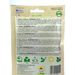 Toraf 20g Burak ćwikłowy czerwona kula 2 Nasiona przetwory przechowywanie