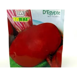 Toraf 10g Burak ćwikłowy D'Egypte Egipski Nasiona przechowywanie konserwowanie przetwórstwo