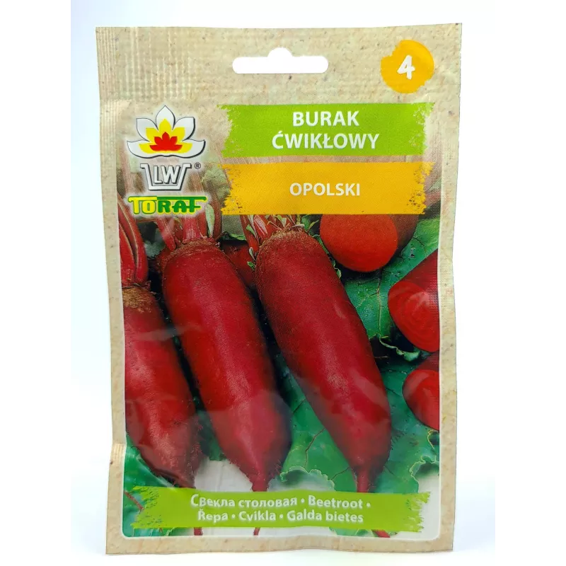 Toraf 10g Burak Ćwikłowy Opolski podłużny Nasiona bardzo plenny bogaty w składniki odżywcze