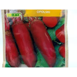 Toraf 10g Burak Ćwikłowy Opolski podłużny Nasiona bardzo plenny bogaty w składniki odżywcze