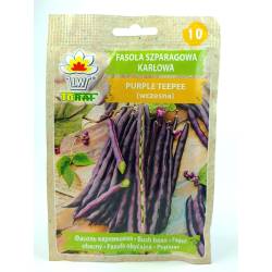 Toraf 30g Fasola Szparagowa Karłowa Purple Teepe Nasiona warzyw odmiana fioletowa