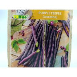 Toraf 30g Fasola Szparagowa Karłowa Purple Teepe Nasiona warzyw odmiana fioletowa