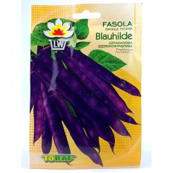Toraf 10g Fasola Tyczna Blauhilde Fioletowa Szparagowa Nasiona warzyw