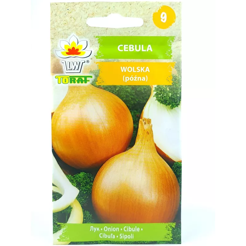 Toraf 4g Cebula Wolska późna Nasiona obfite plony dobre przechowywanie