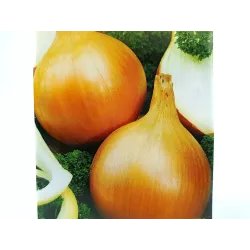 Toraf 4g Cebula Wolska późna Nasiona obfite plony dobre przechowywanie