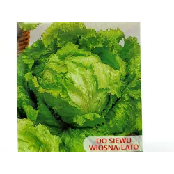 Toraf 1g Sałata Lodowa Great Lakes 118 Nasiona Głowiasta Krucha