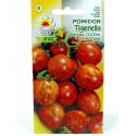 Toraf 0,5g Pomidor Tigerella Tyczny Gruntowy Nasiona warzyw lekko pikantny paskowane owoce