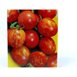 Toraf 0,5g Pomidor Tigerella Tyczny Gruntowy Nasiona warzyw lekko pikantny paskowane owoce