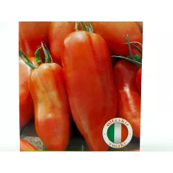 Toraf 0,5g Pomidor Scatolone 2 Gruntowy Nasiona warzyw odmiana wysoka na ketchup przetwory