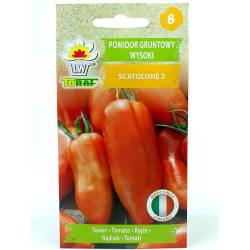 Toraf 0,5g Pomidor Scatolone 2 Gruntowy Nasiona warzyw odmiana wysoka na ketchup przetwory