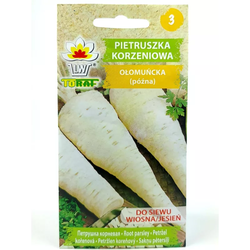 Toraf 5g Pietruszka Korzeniowa Ołomuńcka Nasiona warzyw odmiana późna kształtna bardzo plenna smaczna